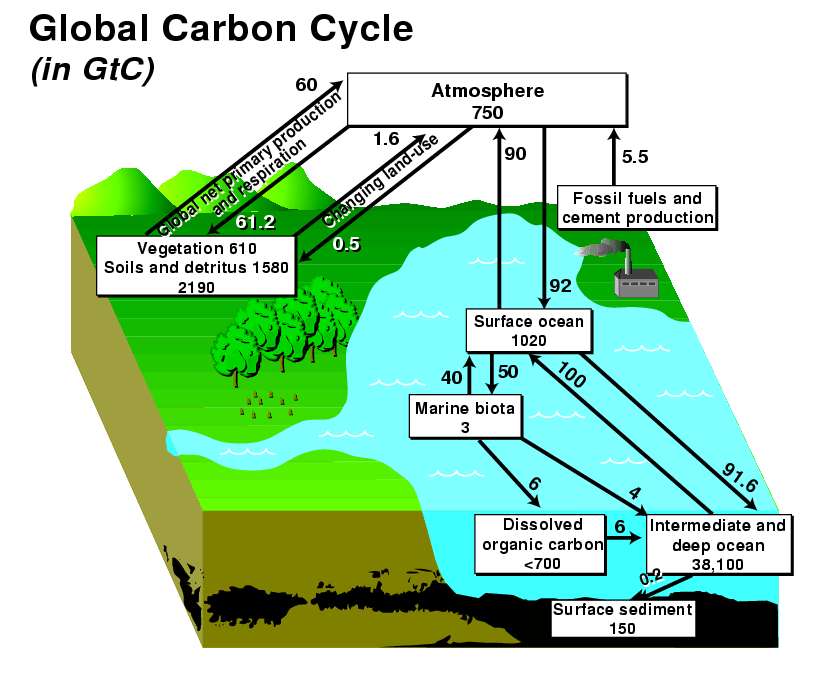 karbonlagre på land og i hav Dette gir grunn