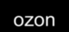 Skjematisk beskrivelse - ozon OZONDESTRUKTOR UTLUFTING BARRIERE 1 RÅVANN INN FORFILTRERING FILTER