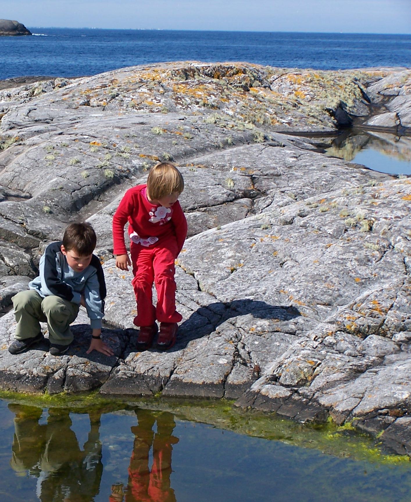 Ofte billig å overforbruke natur Verdier av