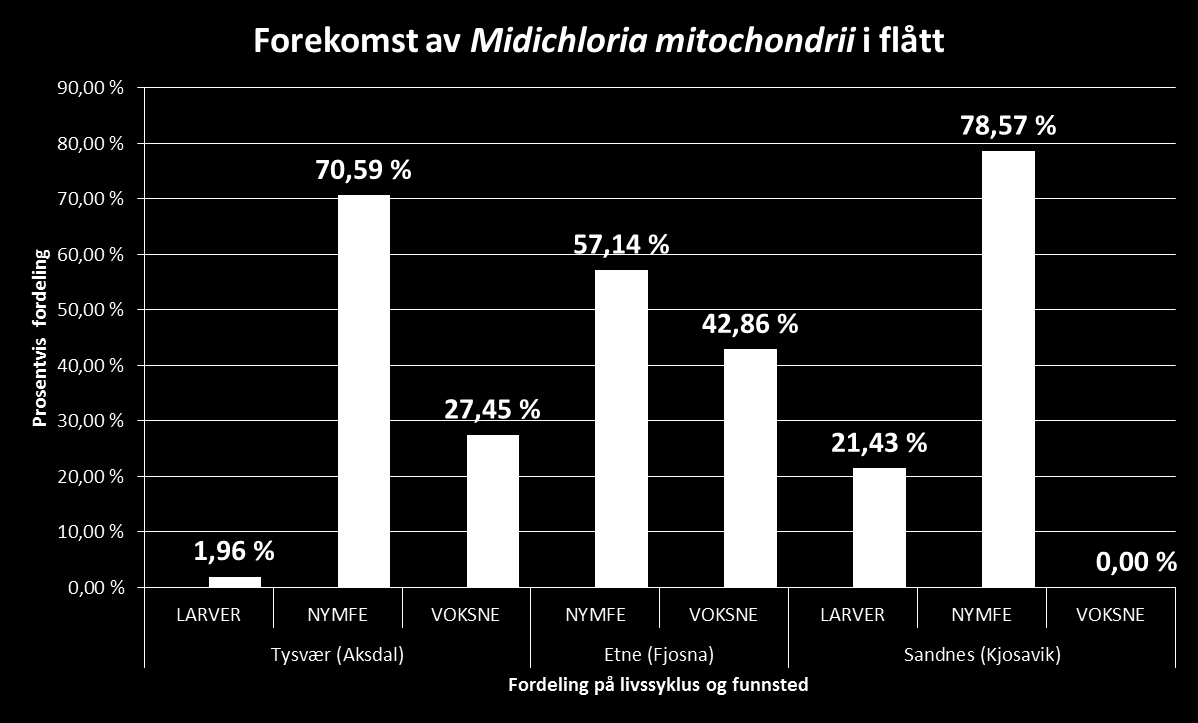 Figur 4. Figuren viser prosentvis fordelingen av flått positive for Midichloria i de ulike utviklingsstadiene fra tre ulike områder i Sunnhordaland og Rogaland.