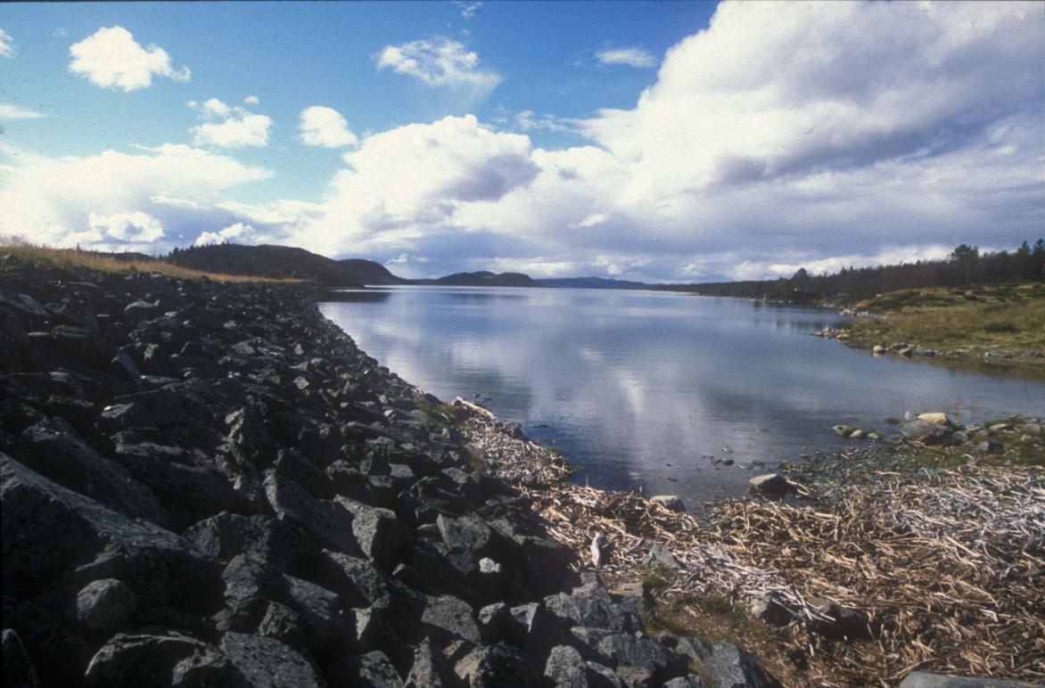 undersøkelse i Rødungen i Ål og Nore- Uvdal