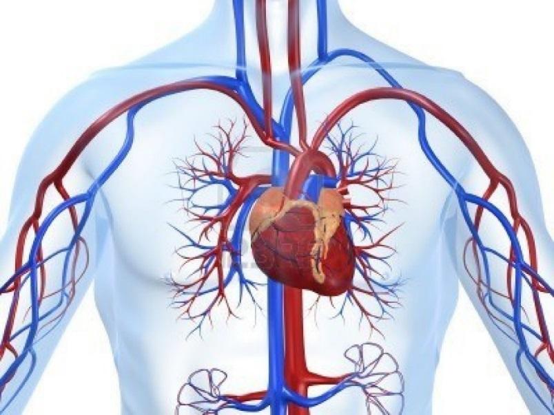 mndr. Kardiogent sjokk ~5-10% av ACS innleggelser Kardiogent sjokk 30-40 %