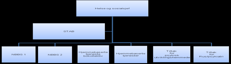 ----------------------------------------------------------------------------------------------------------- Organisering av rus- og psykiatritjenesten: RUS / PSYKIATRI