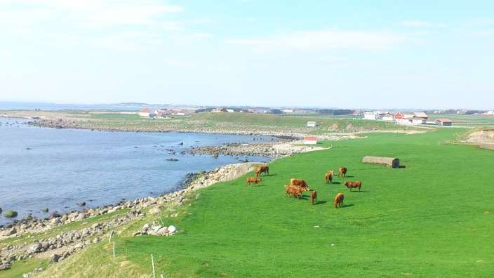 2.2 Oppsummerende beskrivelse av miljøutfordringene i Jæren vannområde Overgjødsling/eutrofiering Viktigste miljøutfordring i vannområdet er helt klart næringsstoffbelastning fra landbruk til