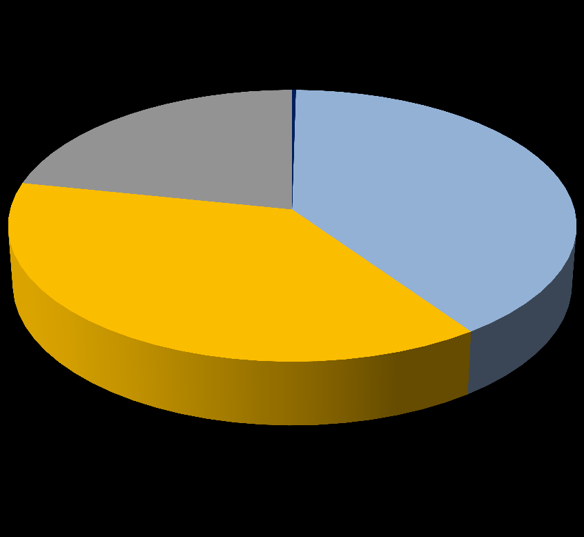 Spesialisering i innlandet Verdiskaping 2011 i Elverumsregionen fordelt på undergrupper.