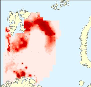 Beiter i områder med mye Zooplankton Polartorsk Pelagisk fisk Zooplankton Amfipoder Krill -