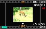 Se på en video Den filmlignende rammen som fremvises på LCD-skjermen indikerer at dette er et bilde fra en video. Videoikon [ ] (Avspill) [SET] (side 146) 1. Trykk [ ] for å gå inn i Avspill-modusen.