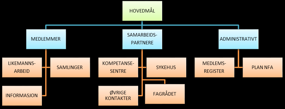 sykehus og andre behandlende institusjoner arbeide for at myndighetene skal få kjennskap til analatresigruppens spesielle problemer. 2.