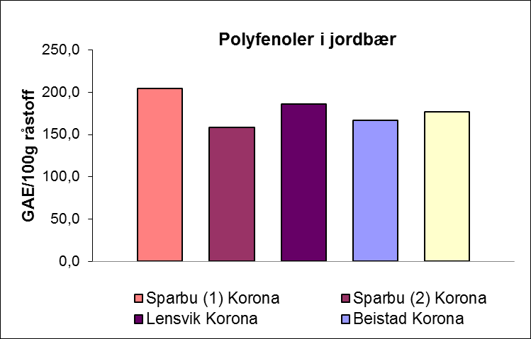 Figur 98. Mengde anthocyanin i Korona fra fire gårder og Polka fra en gård i Trøndelag ved ankomst av bærene fra prøvefelt til laboratorium.
