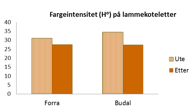 Figur 49. Rødfarge og fargeintensitet (H o ) på kotelettene fra Forra og Budal.