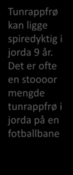 Det er ofte en stoooor