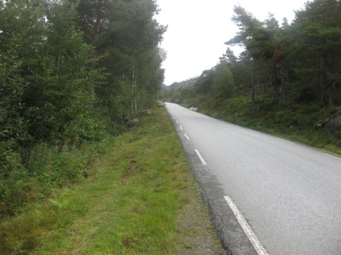 Støy Området ligg nære fv551, og er potensielt utsett for støy frå trafikk.