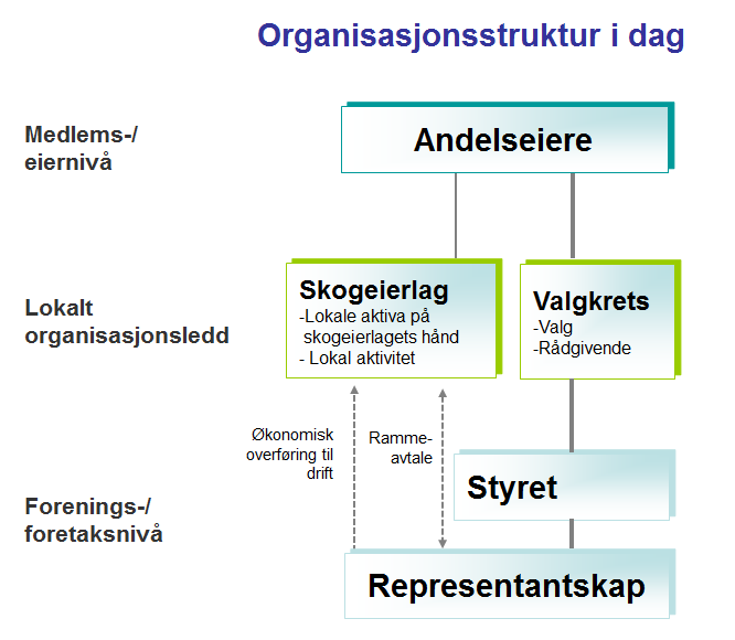 3. Dagens organisering Oppbygging, formell struktur Med omdanningen av skogeierforeningene til andelslag i 2006 ble eierskapet til skogeierforeningen/andelslaget flyttet fra skogeierlaget til