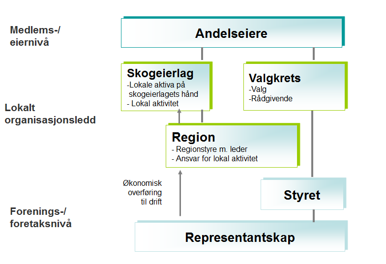 B. Regionmodell med to nivåer: Både region og skogeierlag Utvalgets medlemmer Martin Rønningen, Øyvind Nordrum, Iver Prestrud, Simen Mæhlum og Per Aas går inn for denne modellen.