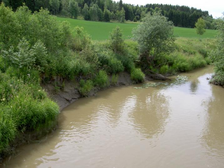 Effekter på vannkvalitet 1: brunere, turbid vann, mer patogene bakterier