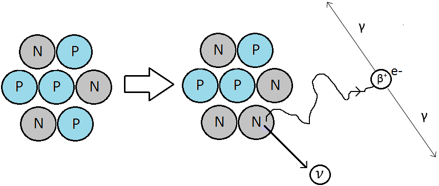 Figur 1: En ustabil, protonrik kjerne (venstre) desintegrerer ved å omdanne et proton (p) til et nøytron (n) i kjernen, samtidig som et nøytrino (ν) og et positron (β+) emitteres.