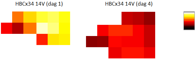 I Figur 46 er én svulst av typen HBCx34 avbildet med hensyn til parameteren k3 ved dag 1 og dag 4.