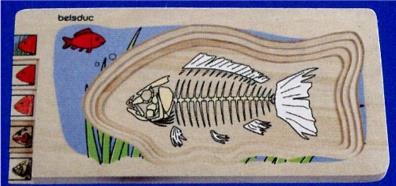 Puslespill Fisk (5 lag) Varenummer: