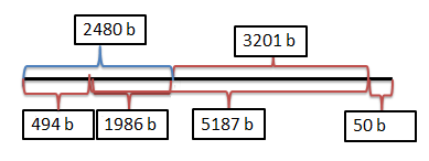 Resultater Figur 3.10: Partiellkutting av pes2. pes2 ble kuttet fullstendig med NotI slik at det ble dannet et lineært fragment som vist i figuren.