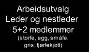 Medlemsorganisasjon 18 700 andelseiere Arbeidsutvalg Leder og nestleder 5+2 medlemmer (storfe, egg, småfe, gris, fjørfekjøtt) Fagutvalg 5 utvalg Administrasjon Konsernråd Styret, ledere og nestledere