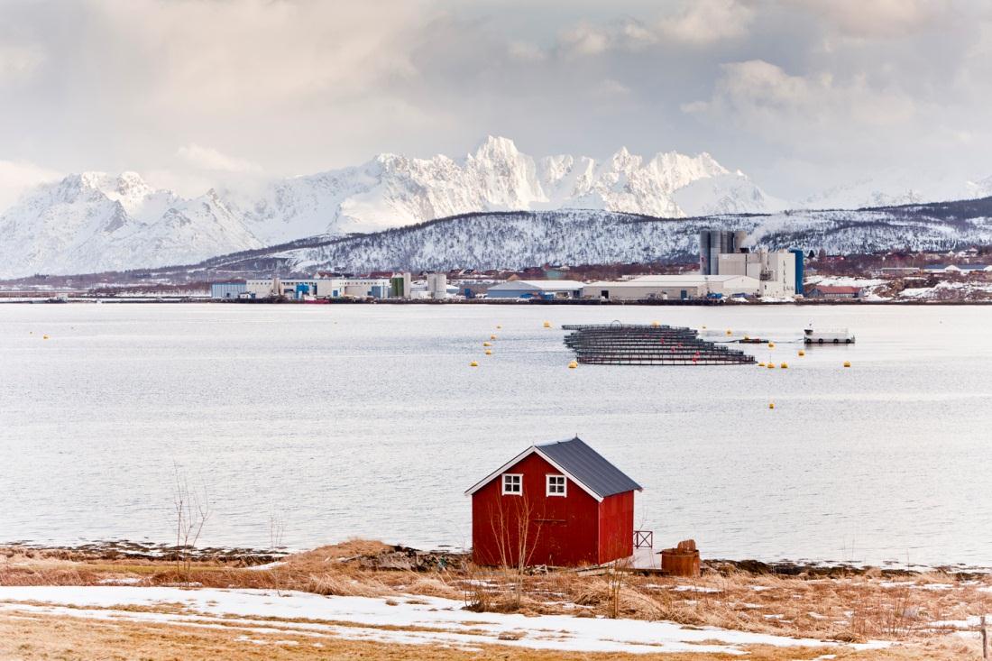 Havbruk og forvaltning i Tysfjorden Bjarne B.