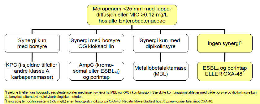 OPPSUMMERING MEROPENEM, MEROPENEM, MEROPENEM MIC >0,12mg/L eller disk