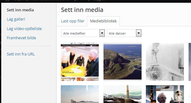 Ved å klikke på denne boksen koples innlegget med mediebiblioteket opp og feltet som dukker opp heter Sett inn media: Skriv inn et søkeord i søkefeltet for å finne det riktige bilde som ønskes brukt