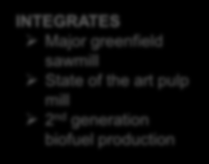 WORK PROCESS FOR STEP 1 PRODUCTS EVALUATED Wood fibre and chips Pulps BSKP UKP CTMP Dissolving Solid wood products Sawnwood GLM CLT Plywood LVL Wood-based panels MDF Particle board Wood based