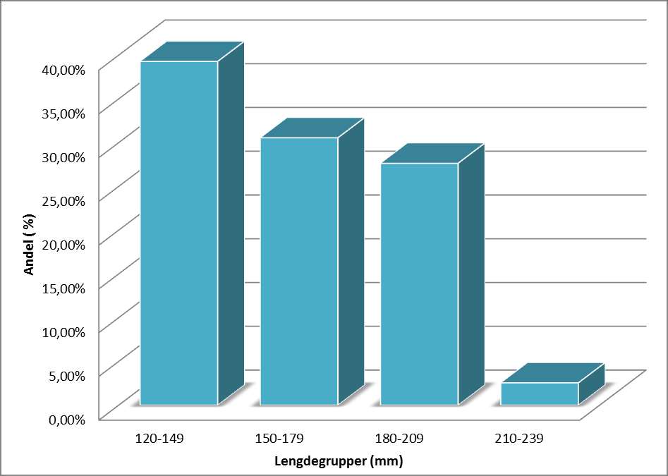 Side 34 av 42 Figur 4.2 viser at det var flest tryter i lengdegruppen 120-149, mens andelen i større lengdegrupper avtar gradvis. Figur 4.1: Lengdefordelingen i prosent for ørret fanget i Kilandsvatnet, august 2011 (n=12).