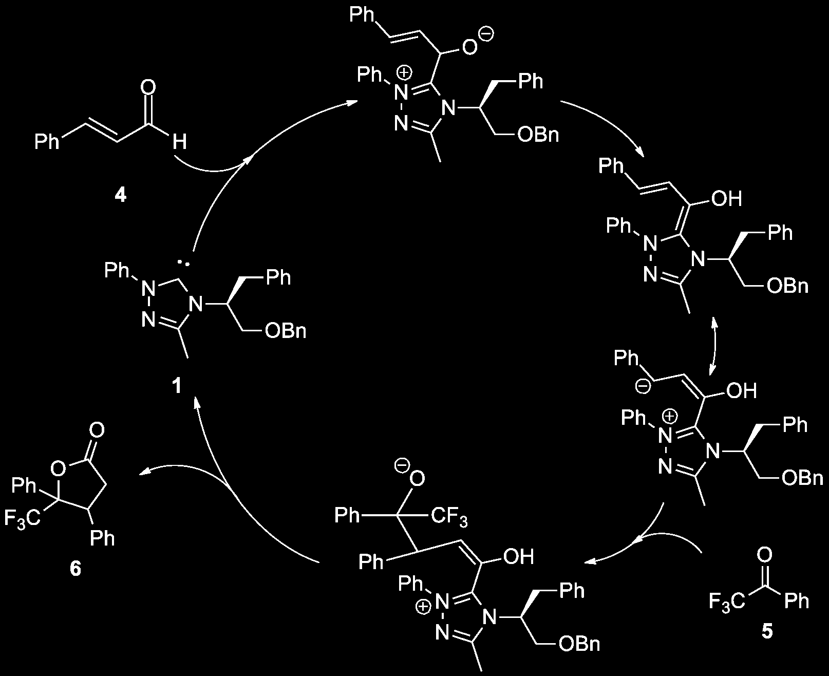 2.5 Anvendelser 11 Skjema 2.8: Antatt mekanisme for organokatalysert laktondannelse 2.5.2 NHC som ligand i metallkatalysator N -Heterosykliskekarbener kan også brukes som ligander i metallkatalyserte reaksjoner.