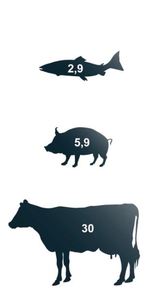 Lakseoppdrett er klimavennlig