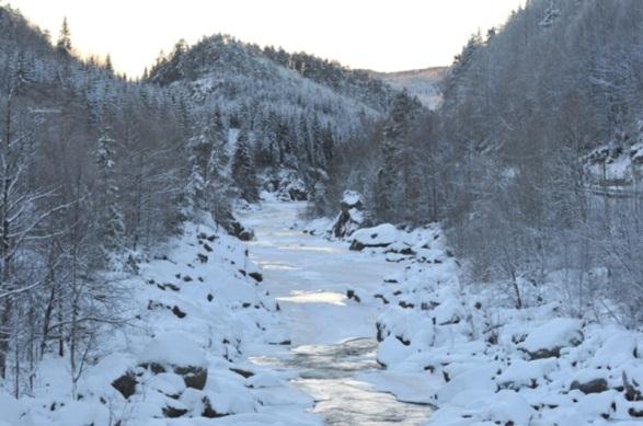 Rådgiving og forsøksvirksomhet i landbruket Medlemsblad nr 7 30.