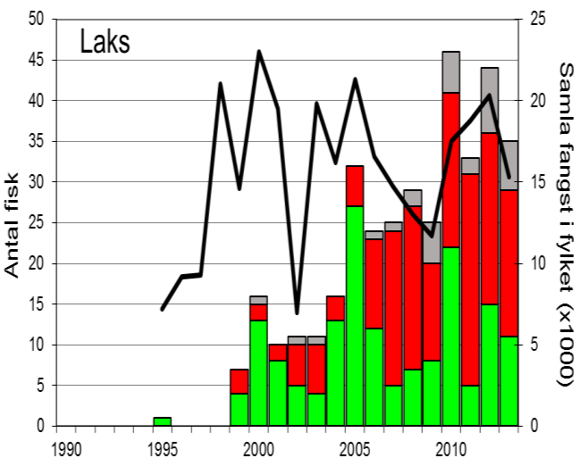 Fangststatistikk FANGST OG SKJELPRØVAR I LYSEELVA Gjennomsnittleg årsfangst i perioden 1993-2013 var 19 laks (snittvekt 3,5 kg) og 35 sjøaurar (snittvekt 0,7 kg).