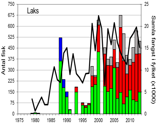 FANGST OG SKJELPRØVAR I ESPEDALSELVA Fangststatistikk Gjennomsnittleg årsfangst av laks i perioden 1988-2013 var 321 (snittvekt 3,8 kg).