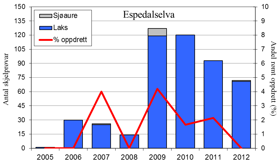 FANGST OG SKJELPRØVAR I ESPEDALSELVA Gjennomsnittleg årsfangst av laks i perioden 1988-2012 var 348 (snittvekt 3,7 kg).