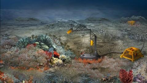 Subsea Mining - UiB Seafood - Global Marine Environmental