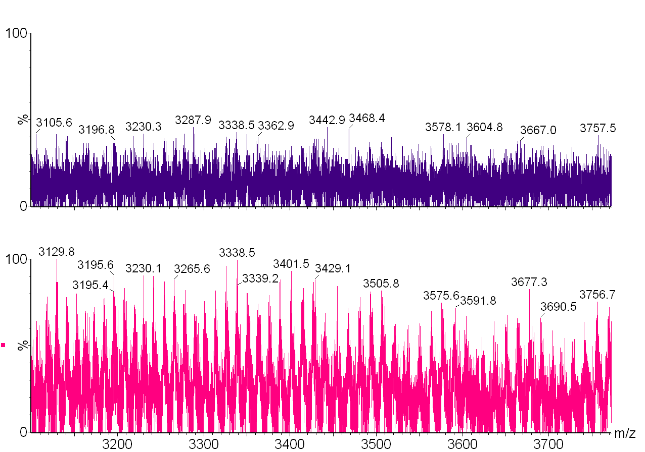 Figur 30: Sammenlikning av råspekter for deglykosylert DOTA-Trastuzumab 15:1 for kolonne med indre diameter 4.6 mm, injeksjonsvolum 15 µl (øverst) og kolonne med indre diameter 2.