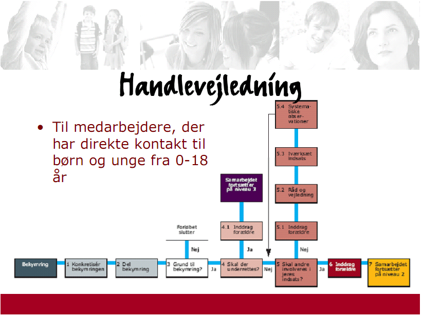 3.Handlingsveiledere Beskriver hvordan ulike faggrupper kan handle når de gjennom