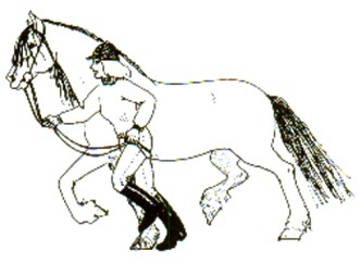 Dette er en sikkerhet mot å miste tøylene hvis hesten skulle rykke til. Med tøyleføringen skal en vise at en kan føre hesten korrekt og bestemt og under full kontroll.