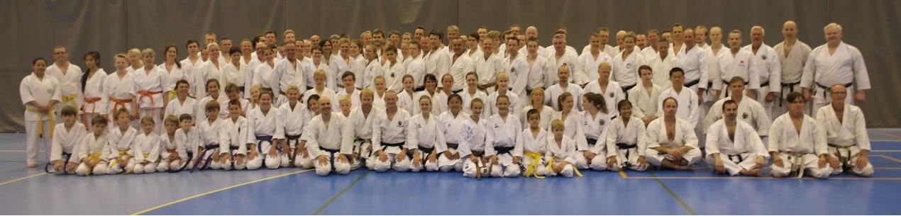 2015 har vært et godt karate-år for NSF! Vi har gjennomført en flott sommerleir med god deltakelse fra Norge og utlandet.