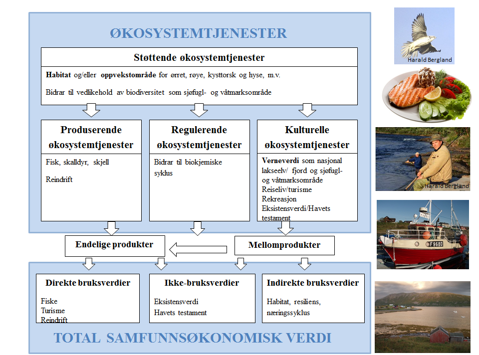 Figur 4.5 Ulike typer økosystemtjenester knyttet til eksempel-området for gruvedrift i Kvalsund kommune Land- eller sjødeponi?