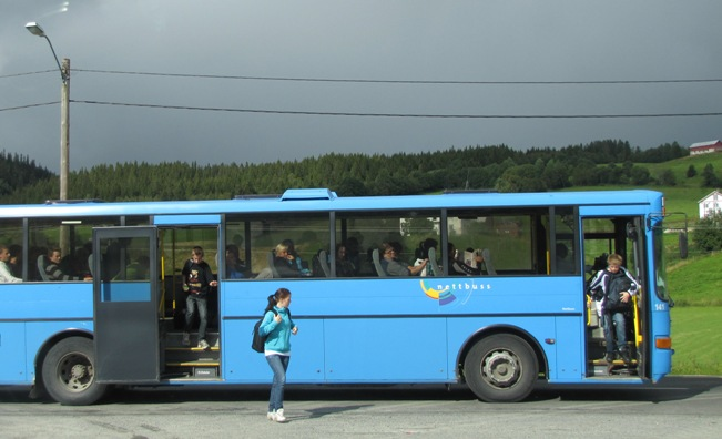 5. Støtte til trafikksikkerhetstiltak Rydding av skog langs fylkesveg 705 Et prosjekt som går på å rydde skog langs fylkesveg 705.