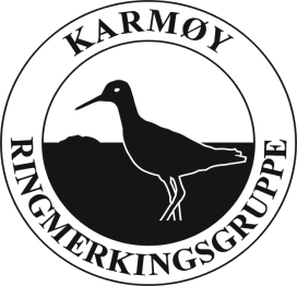 Sjøfugler i Karmøy