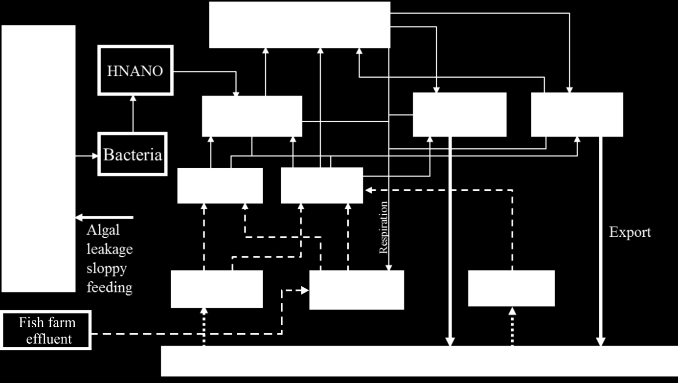 Figur 2. Strukturen bak den biologiske komponenten i SINMOD. Basert på Wassmann et al., 2006. 2.1 Simuleringer med passivt sporstoff og utslipp av næringssalt Det er gjort tre simuleringer for å belyse spredningen av oppløste næringssalter fra lakseoppdrett: 1.