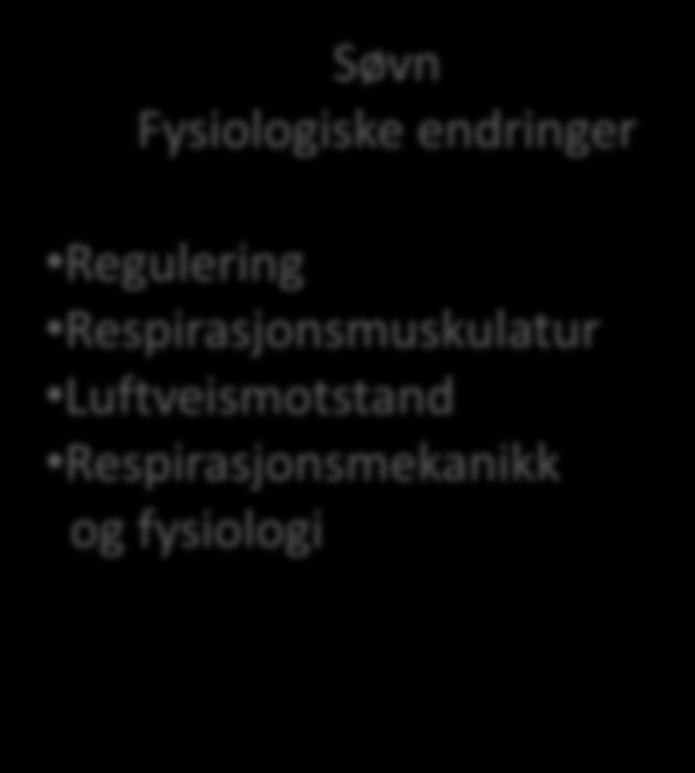 Søvn hypoventilasjon Søvn Fysiologiske endringer Regulering Respirasjonsmuskulatur Luftveismotstand