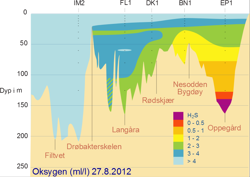 Oksygenforhold august 2012 Oksygenreduksjonen i dypvannet i Bunnefjorden har fortsatt i løpet av sommeren, og på største dyp er det nå noe sulfidutvikling (0,5 ml/l H 2 S på 150 m dyp).