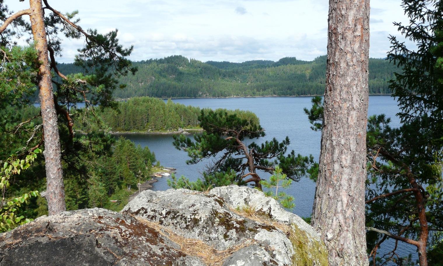 Strandsone Vegårshei Rullering av