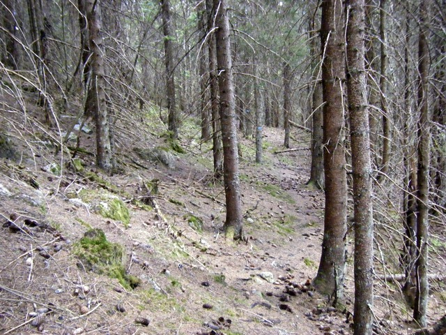 Det var røtter, steiner, vindfall, gjørme og myr masse utfordringer for den som vil prøve å løpe. Dagens tyngste bakke (mellom sjekkpunkt 6 og 11) var fra sørenden av Spålen i retning Steinvollsætra.