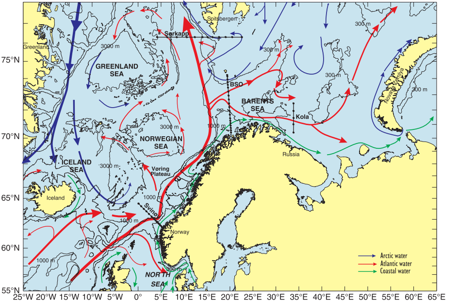 Inn i Nordishavet (Grønlandshavet, Norskehavet og Islandshavet) kommer det varme og salte atlantiske vannet hovedsakelig gjennom Shetland- Færøyrenna og i mindre grad mellom Island og Færøyene