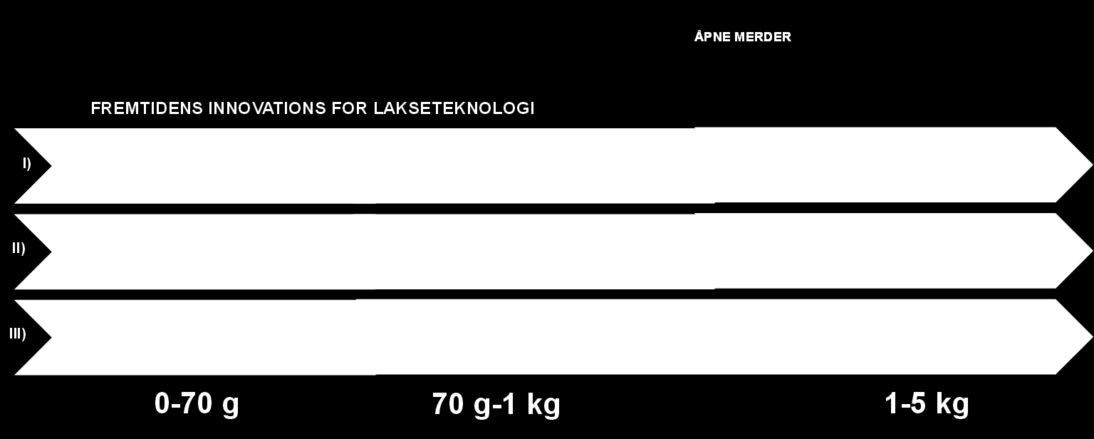 Dersom tiltaket kan optimaliseres med andre ikkemedikamentelle tiltak, hvilke er mest aktuelle?